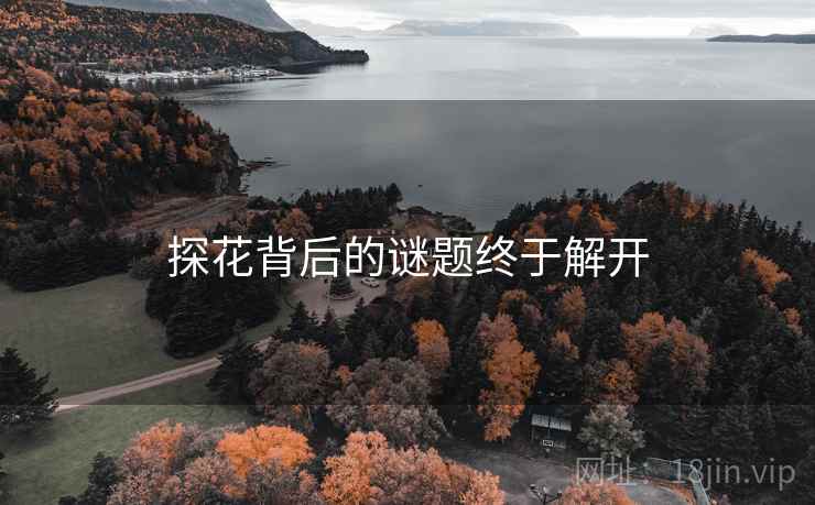 探花背后的谜题终于解开