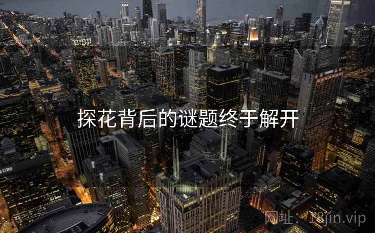 探花背后的谜题终于解开