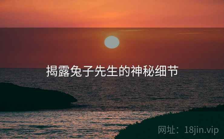 揭露兔子先生的神秘细节