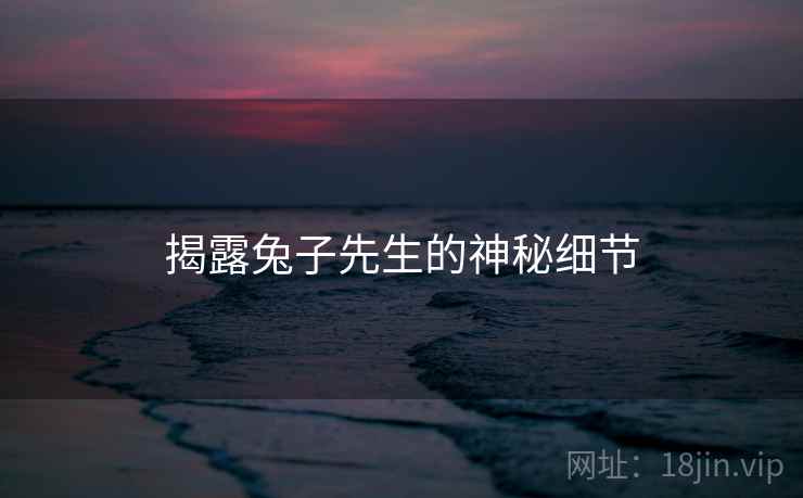 揭露兔子先生的神秘细节
