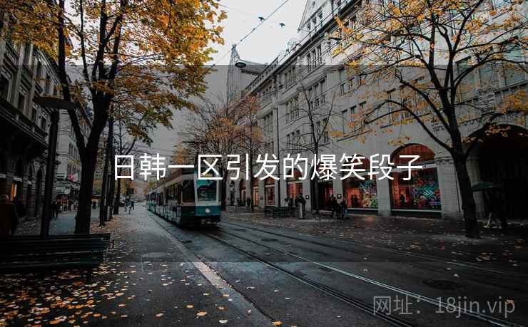 日韩一区引发的爆笑段子