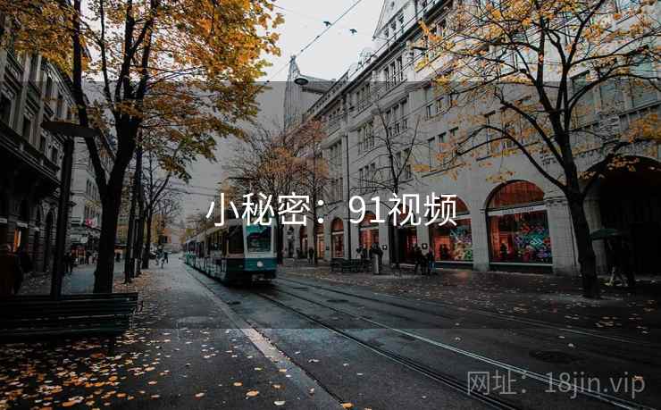 小秘密：91视频