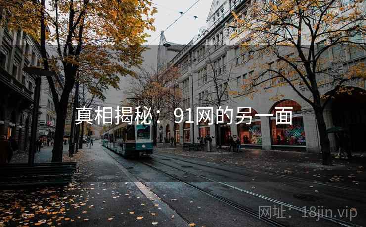 真相揭秘：91网的另一面