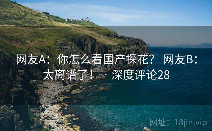 网友A：你怎么看国产探花？ 网友B：太离谱了！ · 深度评论28
