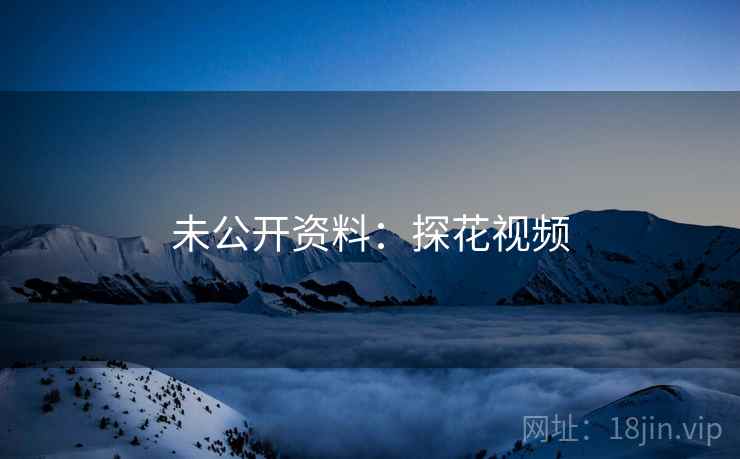未公开资料：探花视频