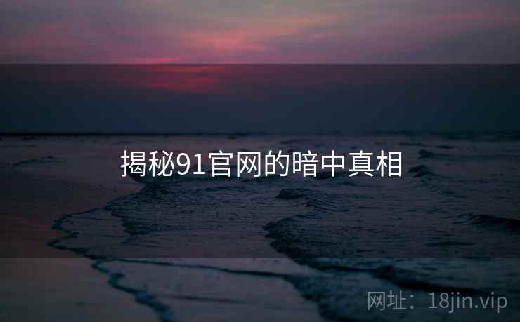 揭秘91官网的暗中真相