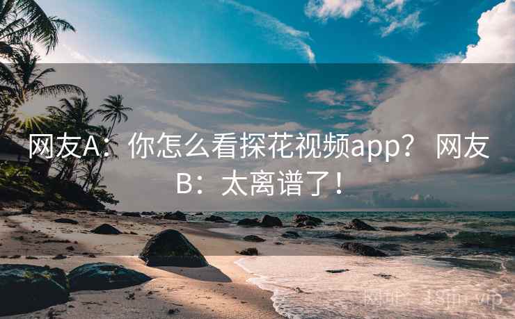 网友A：你怎么看探花视频app？ 网友B：太离谱了！