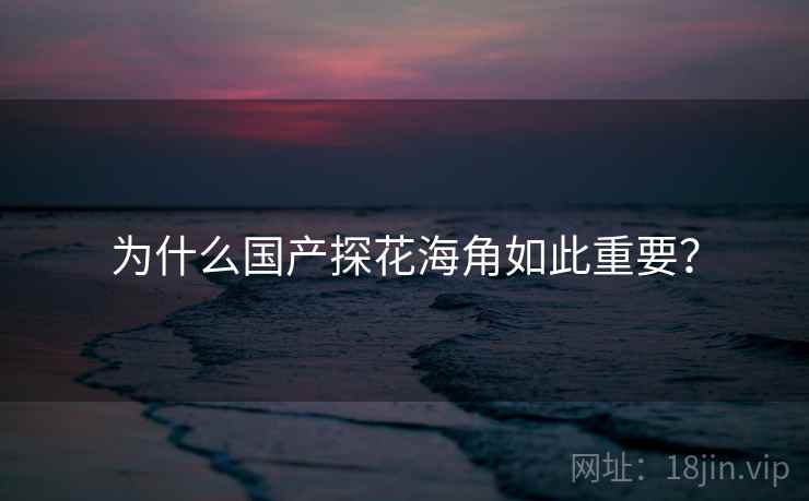为什么国产探花海角如此重要？